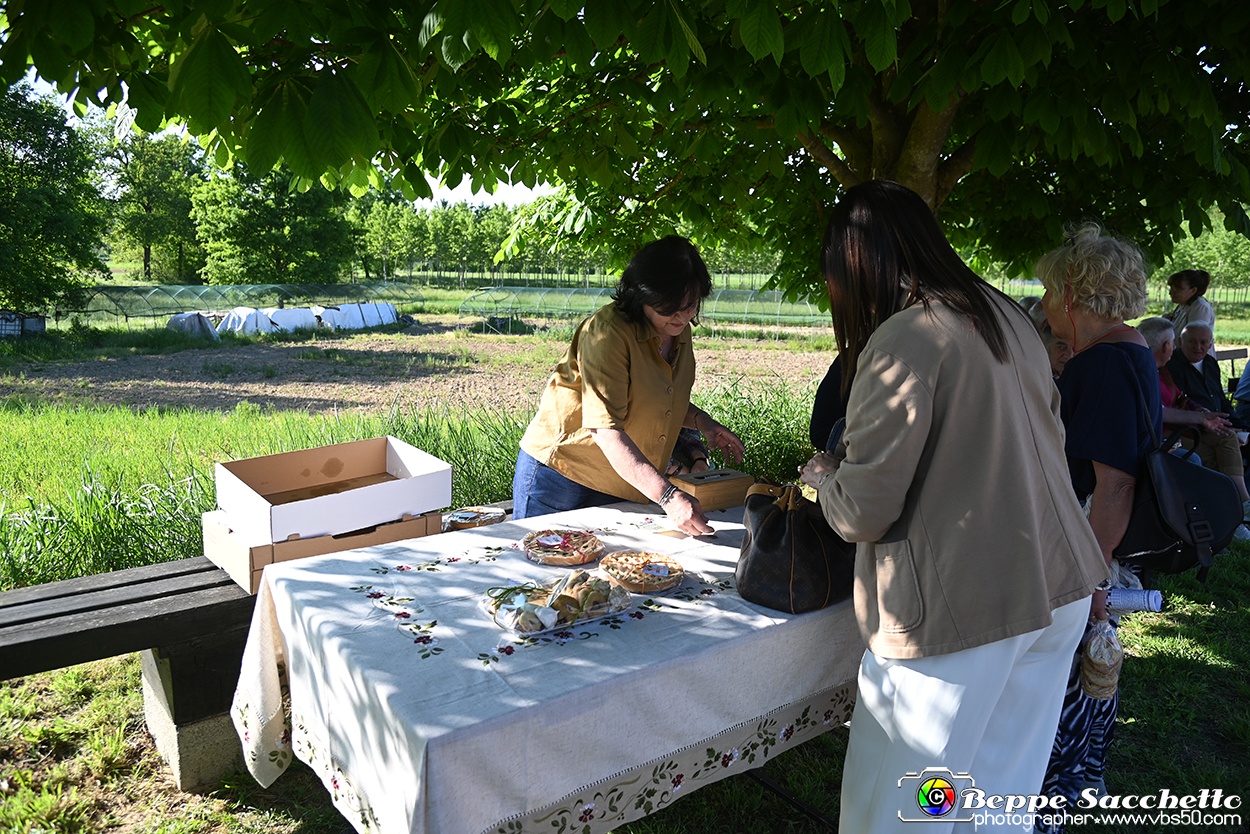 VBS_1222 - Festa Borgata Martinetta di San Damiano d'Asti.jpg